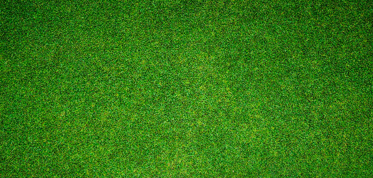 KCB Partners with Kodris on Coding Lessons, Schools & Students to Access Discounted Rates 